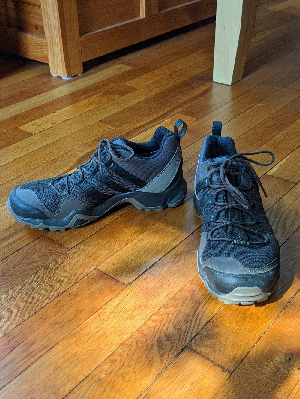 Adidas Gortex Hiking Shoes